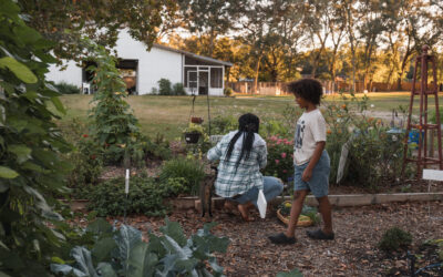 Gathering Home: Our Family Compound